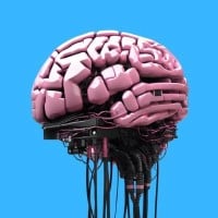 This is the Avatar Image for the Jax (The Amazing Digital Circus) (Brian Hull TortoiseTTS) AI Voice and Text to Speech Generator